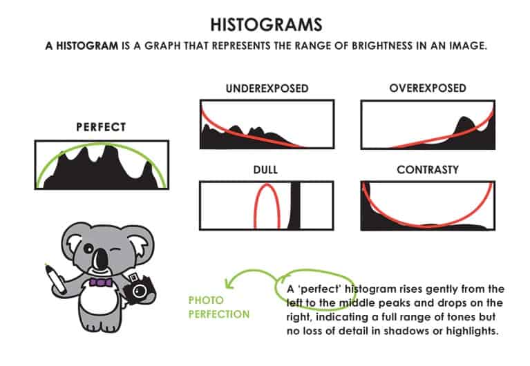 histogramas