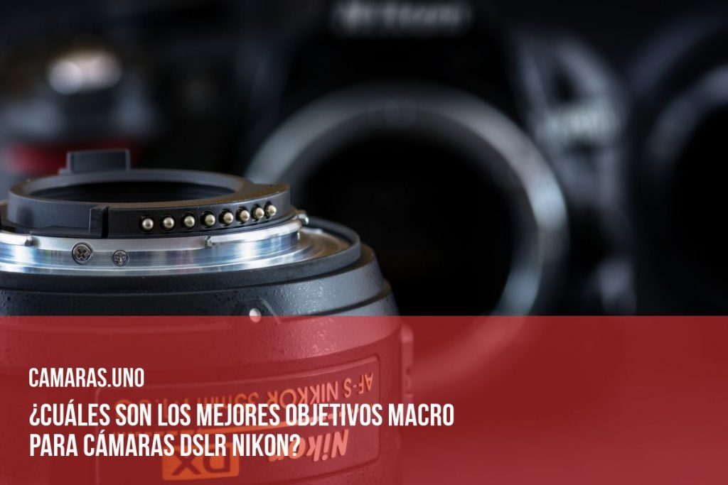 ¿Cuáles son los mejores objetivos macro para cámaras DSLR Nikon?