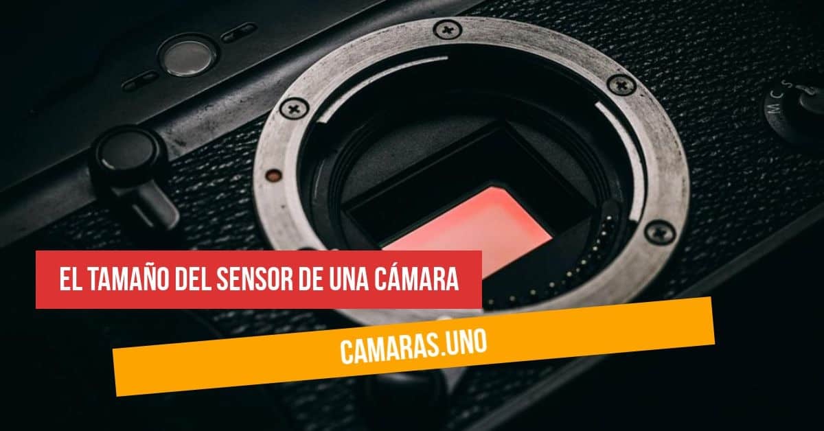 El tamaño del sensor de una cámara: ¿Full-Frame, APS-C, 4/3?