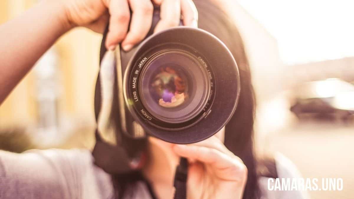 Hervir Canadá carta Dónde comprar cámaras fotográficas de segunda mano online