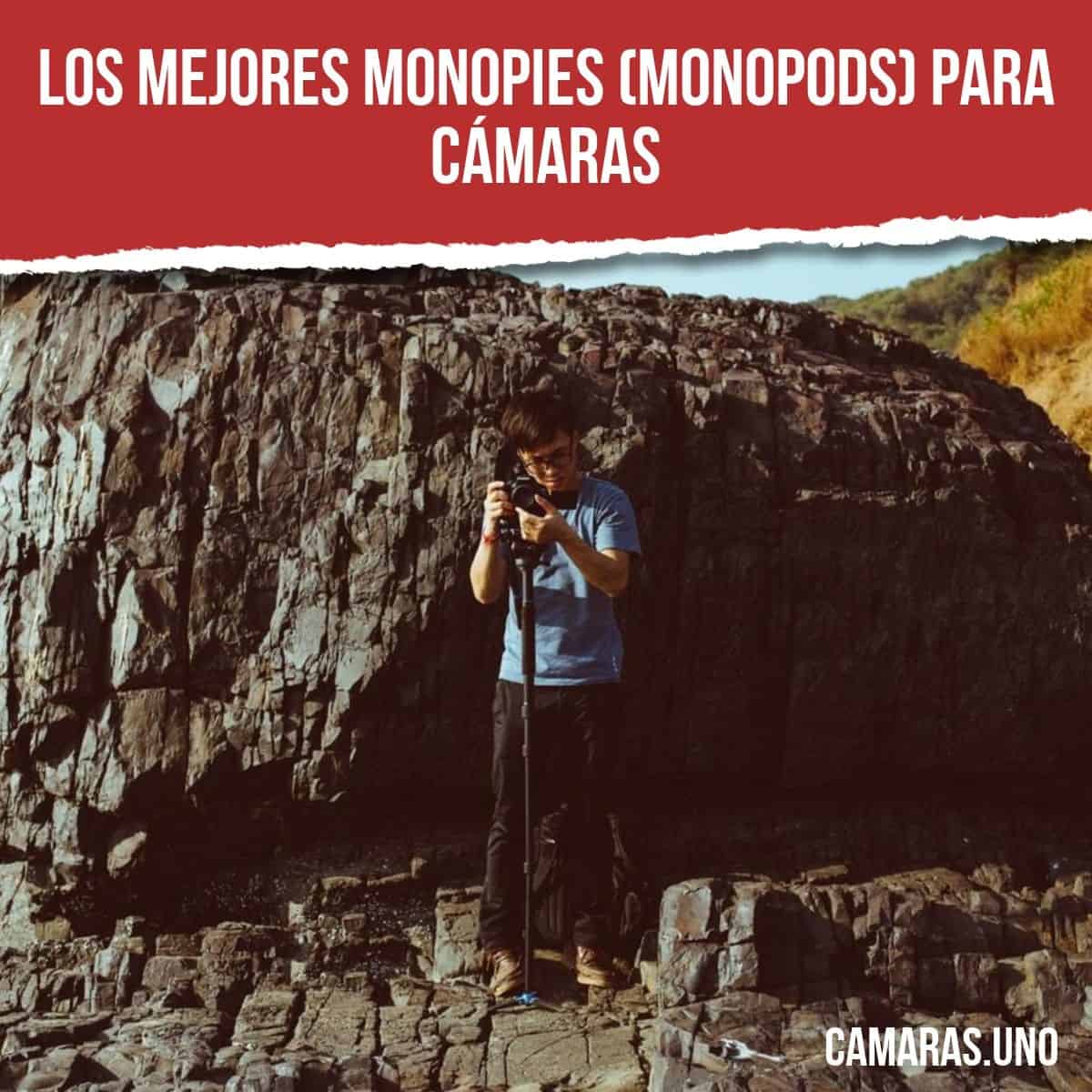 Los mejores monopies (monopods) para cámaras