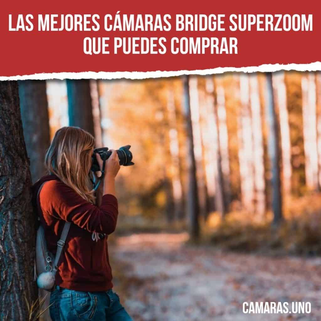 Las mejores cámaras bridge superzoom que puedes comprar