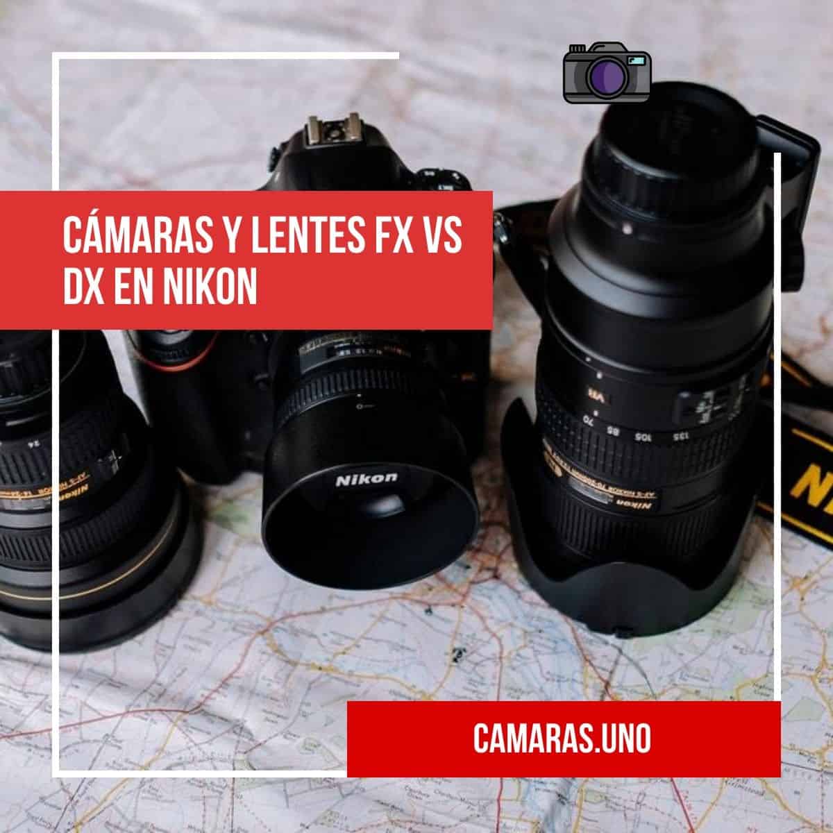 Cámaras y lentes FX vs DX: el factor de recorte de Nikon y objetivos recomendados