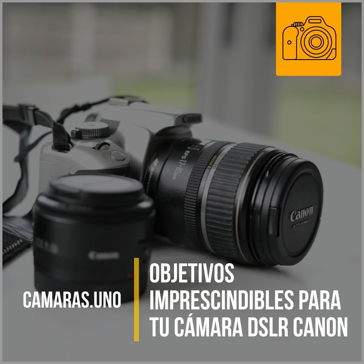 Objetivos imprescindibles para tu DSLR Canon que debes comprar